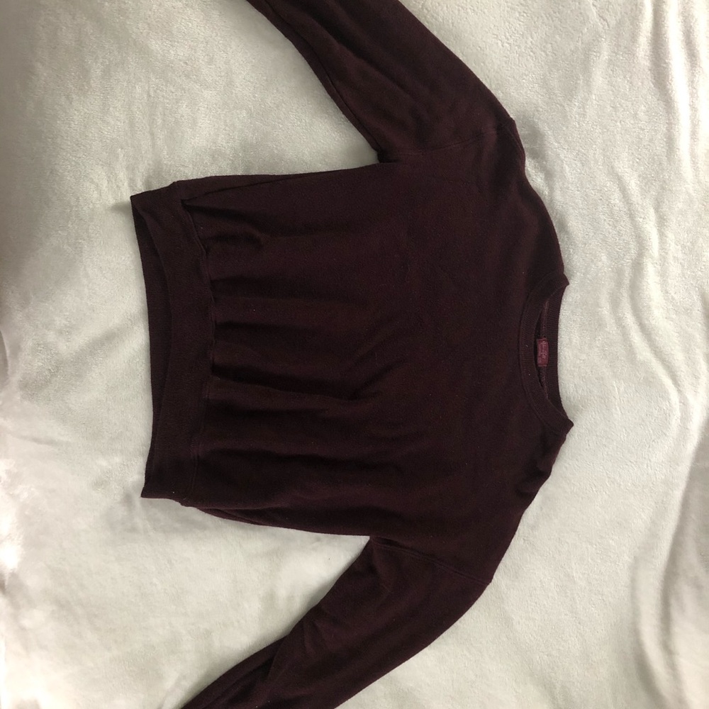 Brandy Melville burgundy cropped crewneck